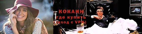 прущие грибы Балабаново