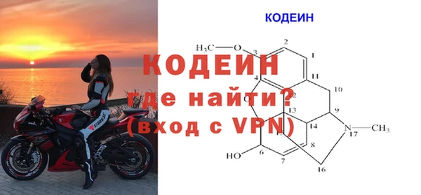 прущие грибы Балабаново