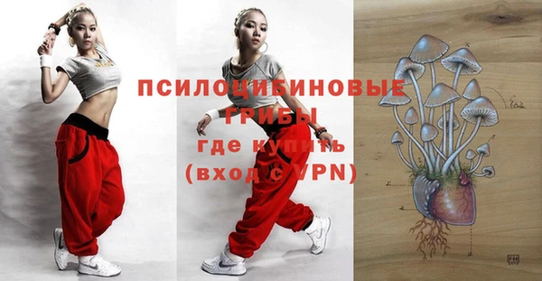 прущие грибы Балабаново