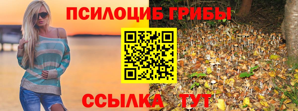 закладка  Псилоцибиновые грибы мицелий  Каспийск  Вход с VPN  Псилоцибиновые грибы прущие грибы 